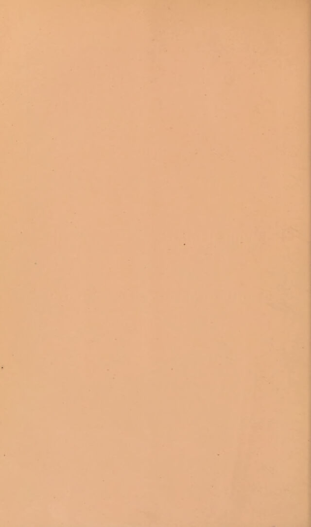 digitised image 2