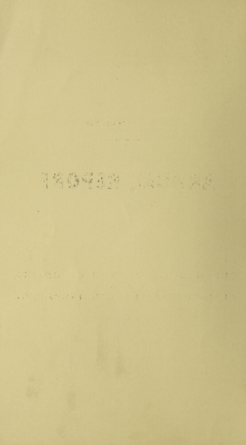 %< ■ ■* Sl> ' ,-1 ■A.P . ^'. 4 *» . ■. .« .1 i/i