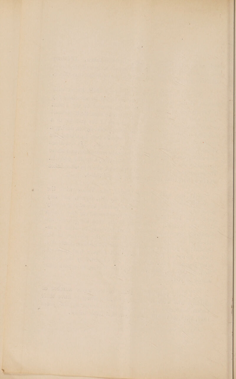 , ' * ' ■■ », 1 - ’ • ♦ • - ■ ■