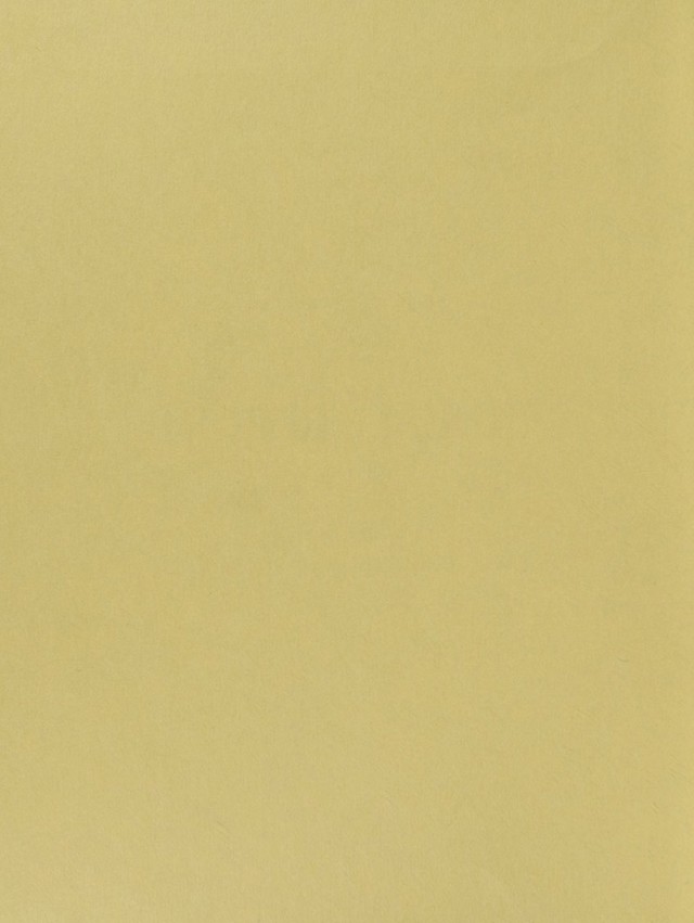digitised image 2