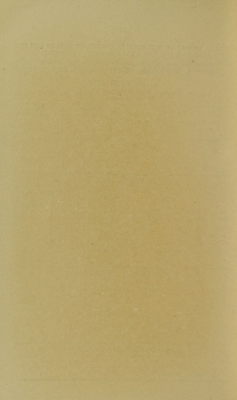 '•• . ’ * '•’ * •'•'•^«-**^^'♦i^V'.’k . ' '* ^: 1 >•..}( * ^5/ * » .. ' . ^ V a.