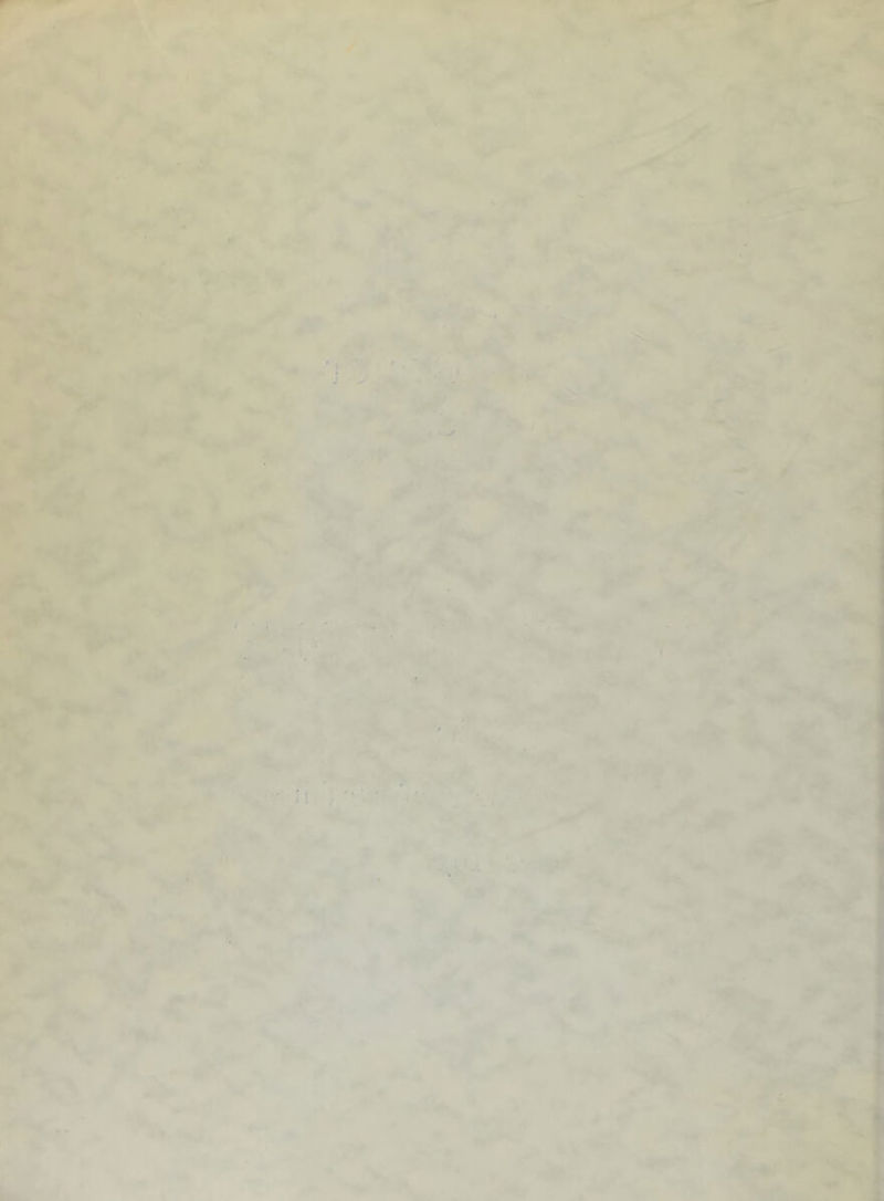 * * H- •■'41V ♦ ” ^ 4* / ‘.jiy ''^••'' ’W' * * *' . V>S8. 'V ' - -! '^.u^ •, ^pT \ JlV > ■f^-'* Z.. ■ Xr' ' ^ ''^.-^'ik, j' ^ ^ ¥* •Moyir M' ffi f ' |6i-' 4f . ■B^ i* ^. : *1 ► > • -V • f ^^R*. (A -n 1* ^ .,jc» ,.; ?. a* ‘K • '.-. ■:■• ■s . -.s* ; 5^ ,4-*^ ‘IwiW” 5^.. « ■.. # l.- A-f'' 'j-.- i*'* .. ■* ■' -yt: W.- -^lAi ¥''’ 4‘ Sr • Sm. ■^-..V'-i.. m >..,. - I