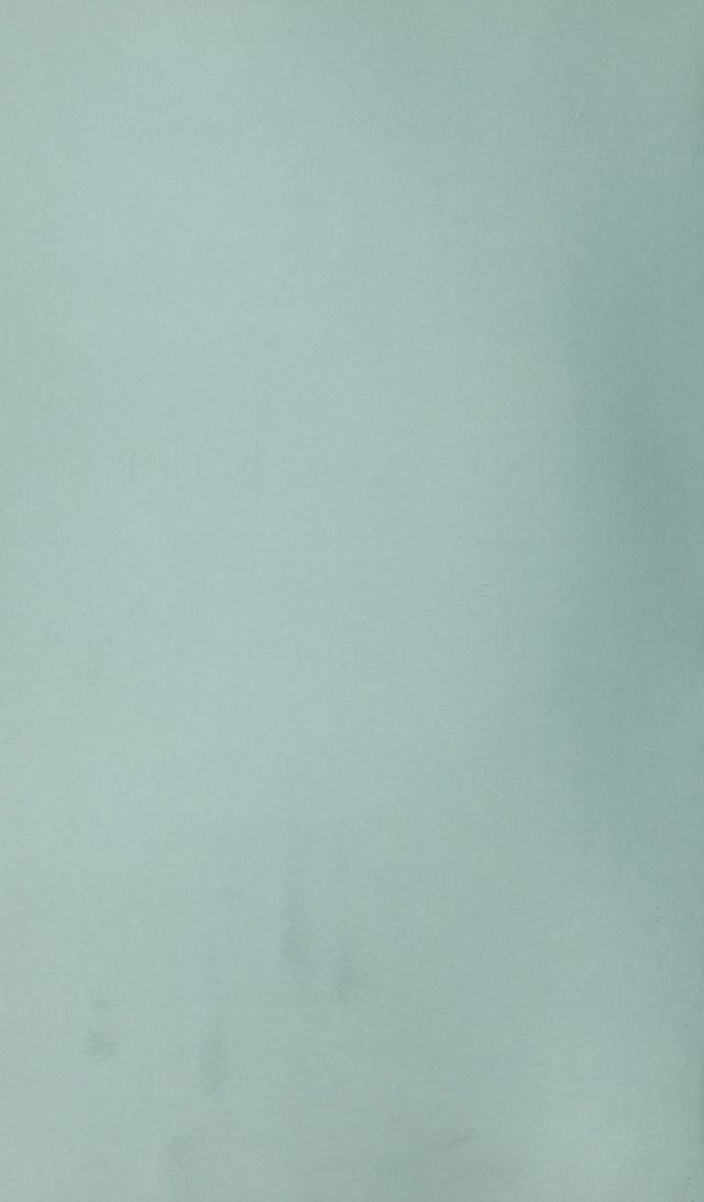 digitised image 2