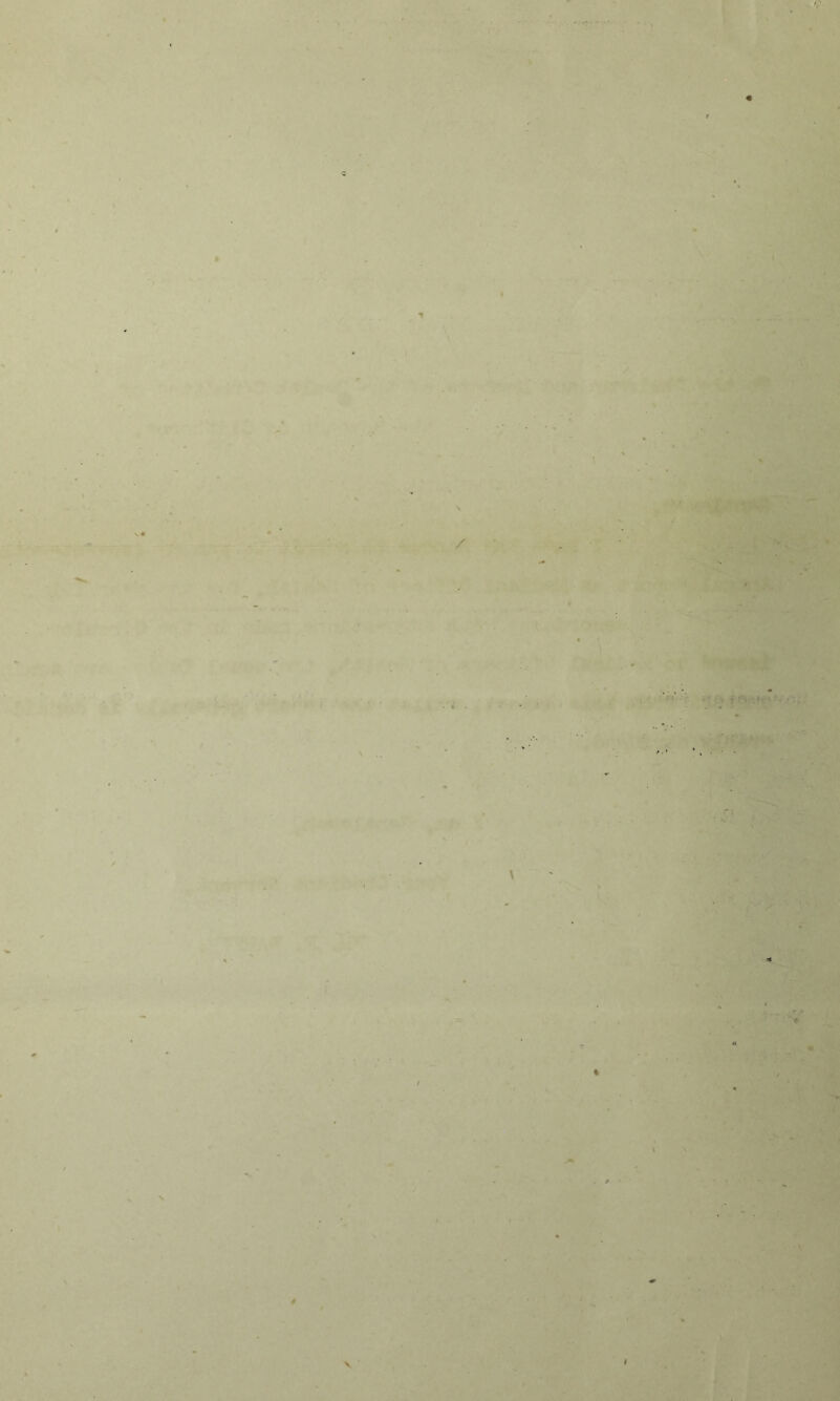 % \- tv. ..A- »;, ^ r< H f' .' -,. ■‘'‘. <1: ■>:'?v t- >: ' ■. V ^ ■ * >' ■ ,