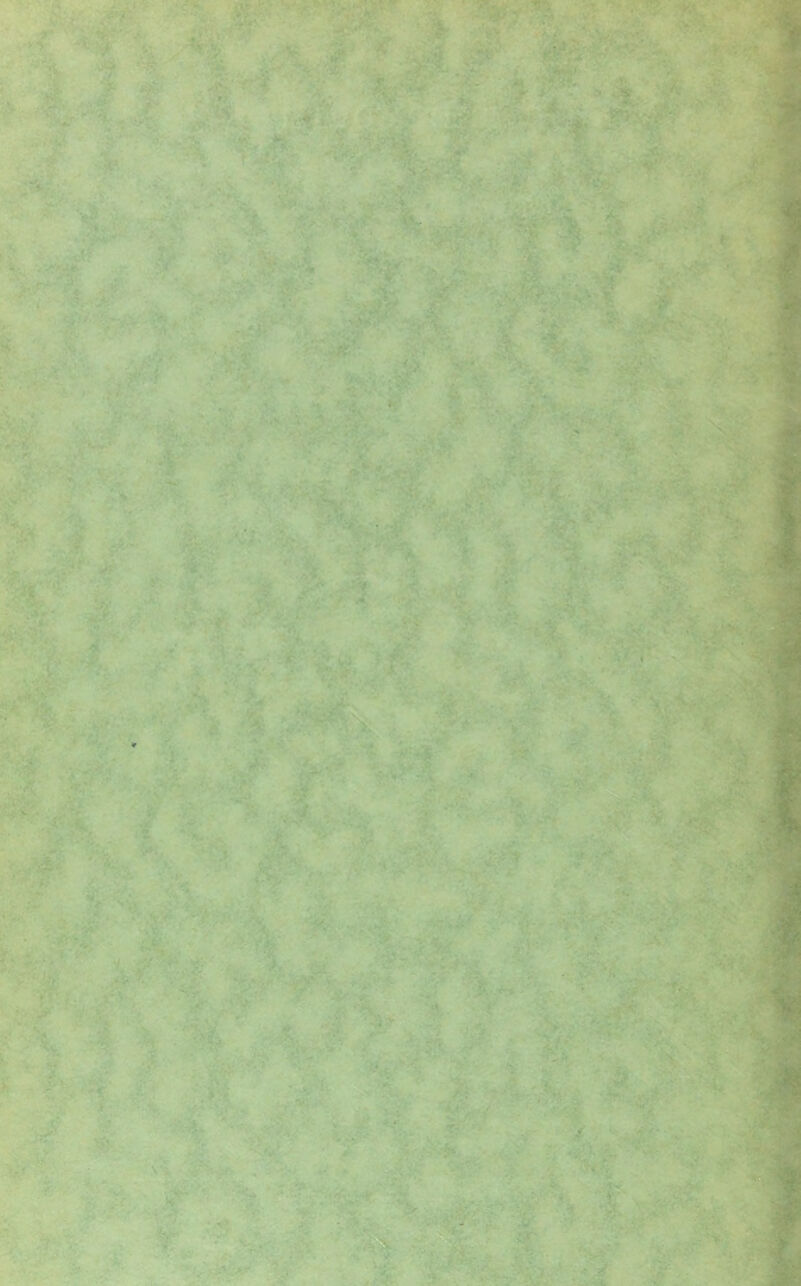 't: ■j^ >■ ■y ai