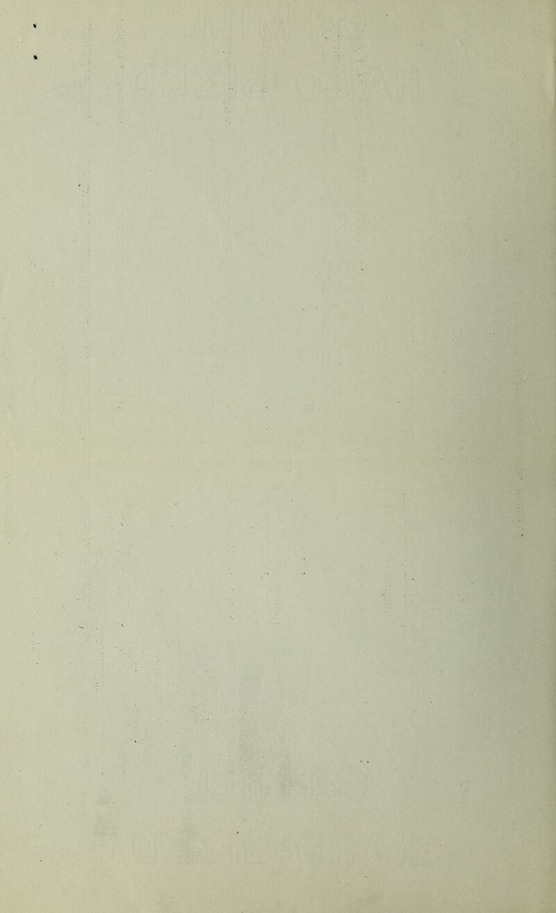 % % • H %■ T’ ■ ■ .\ \ i t I '1 I { ■ \ ' V is J 4^ M I • H r: V • m mz .1 •V I ifS&lCk.