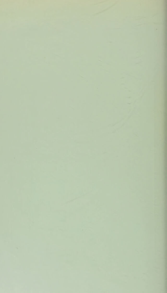 digitised image 2