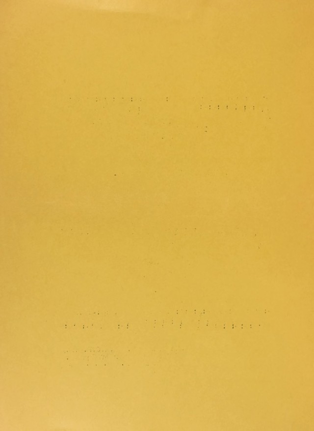 digitised image 2