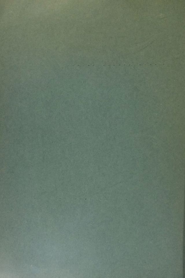 digitised image 2