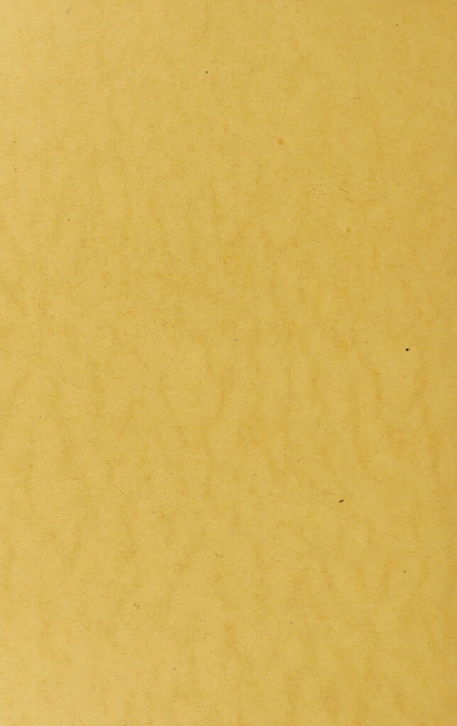 digitised image 2