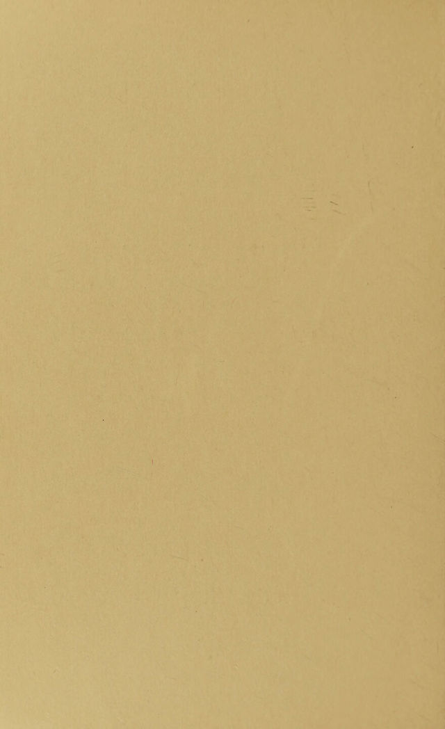 digitised image 2