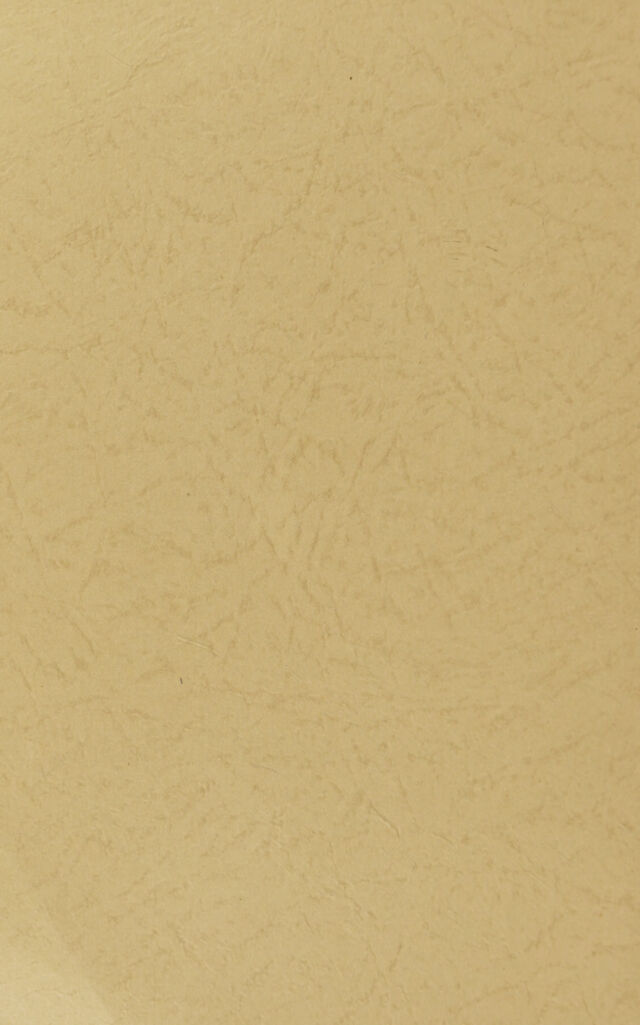 digitised image 2