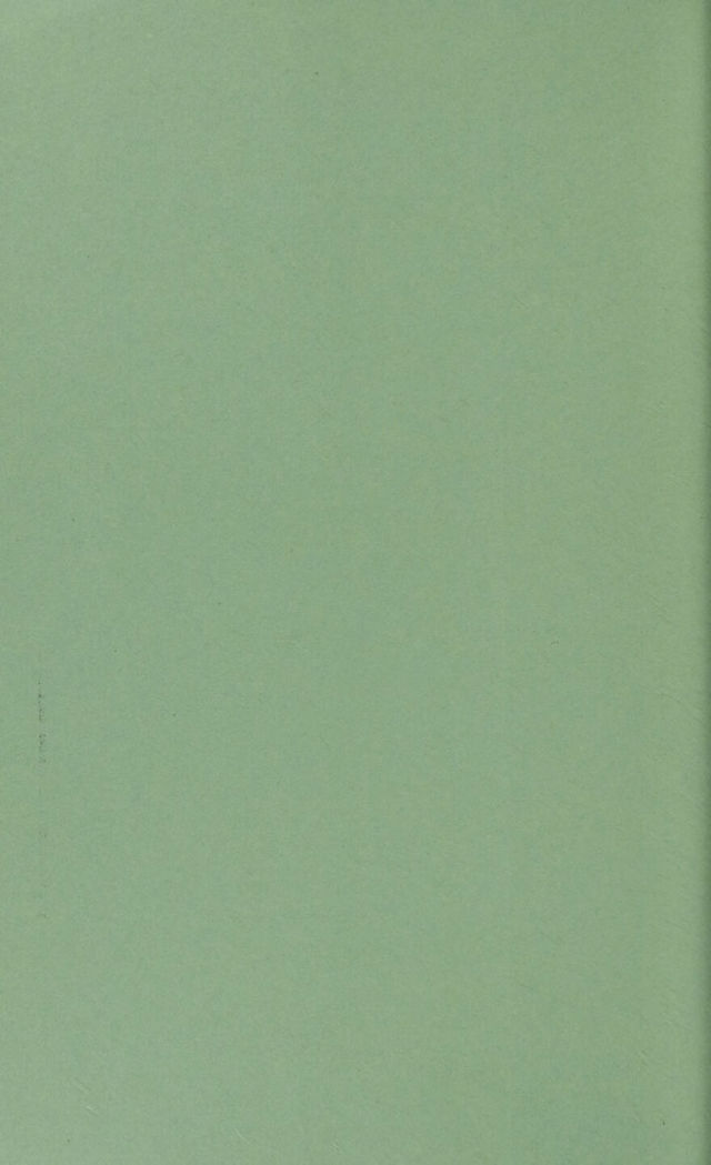 digitised image 2