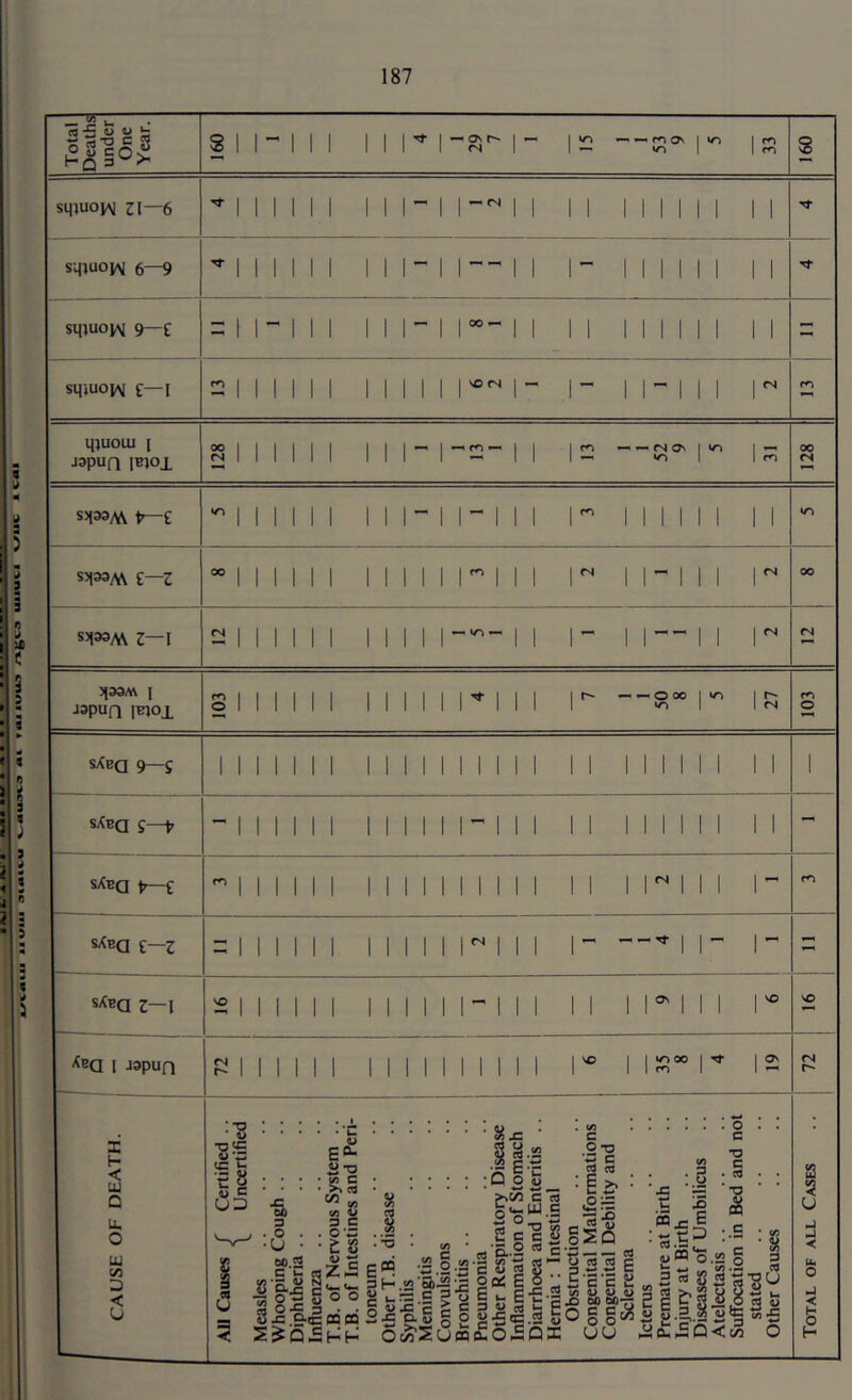 M Total Deaths under One Year. s 1 1  1 1 1 MM M 1 io ^ ^ 1 in 1 ^ in 1 1 S s sqjuo^M 31—6 1 Mill 11 Ml 11 11 11 11 11 1 1 sqiuo^q 6—9 1 Mill 1 1 Ml M' 1 1 M 11 11 11 1 1 sqiuovM 9—E 1 1 - M 1 11 M 1 M- 11 11 11 M 11 1 1 - sqiuow E—I 1 11 11 1 1 11 1 1 M^ M M 1 M 1 11 1 ^ qtuoui [ japufi IBjoi 00 (N 1 11 11 1 M M 1 1 1 1 cn — ^ <N ON ! vn 1 ^ in 1 1 rn 00 S5i33M t^E *0 1 11 11 1 1 1 M 1 M 1 11 M 11 11 1 1 1 1 S5133M i—Z 00 1 11 11 1 11 11 1 M 11 1 M 1 M 11 1 1 ^ 00 S5f33A\ 3—1 rs 1 Mill 11 11 M'- 1 1 M 1 M- 11 1 ^ CN 3133/V\ J JSpun IBtOl 0 1 11 11 1 11 1 11 M 11 1 1 ^ 0 00 1 *n 1 1 1 m 0 sXbq 9—5 M 1 1 1 1 1 1 1 1 1 1 M 1 1 1 II 1 1 1 1 1 1 II 1 sXbq e—t, 1 11 11 1 11 11 1 M 11 1 11 M 1 M 1 1 1 - sXbq t>—e m 1 11 11 1 11 11 11 11 11 11 1 r 11 1 1 i—Z - 1 11 11 1 11 11 1 M 1 11 M 1 M 1 - sXbq 3—1 VO 1 11 11 1 1 11 11 M 11 1 11 1 M 11 1 1 ^ VO ^bq 1 japufi 1 11 11 1 1 11 11 11 M 1 M 1 M 12 <s CAUSE OF DEATH. All Causes / Certified .. \ Uncertified Measles Whooping Cough .. Diphtheria .. Influenza .. T.B. of Nervous System .. T.B. of Intestines and Peri- toneum .. Other T.B. disease Syphilis Meningitis Convulsions Bronchitis I Pneumonia Other Respiratory Disease Inflammation of Stomach Diarrhoea and Enteritis .. Hernia ; Intestinal Obstruction .. .. Congenital Malformations Congenital Debility and Sclerema Icterus Premature at Birth Injury at Birth Diseases of Umbilicus Atelectasis .. Suffocation in Bed and not stated Other Causes Total of all Cases