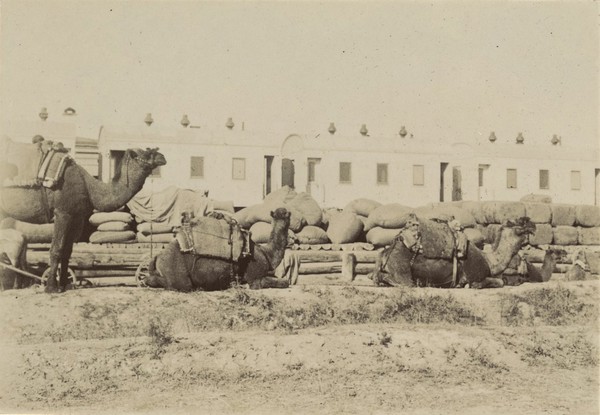 The Plague Expedition to Anzob in Russian Turkestan. Photograph album by A.M. Levin, 1899.