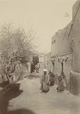 The Plague Expedition to Anzob in Russian Turkestan. Photograph album by A.M. Levin, 1899.