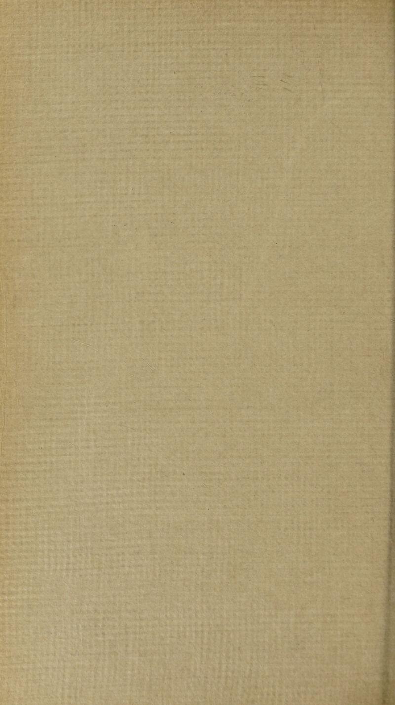 -* JE / ■  ■: ■' > ■■ '* ^ f'\tU ■■ - ■ ■' ' ' . -. T > « V ^ ■; E/* V' ? *■■ f , ;■ ■> -• •■* - ■ -v .,•-'vik r ■;-» ■> ■’■ ■ ' ■ . .,.; j Xf ’.■■,% ■i.*.>; ...  7- : .■ . »’♦V ; V ,■ yoc’ ..  ' 'J *7- . T*' 7 - »‘- -. ■*«','•' ■•'>' r;-.-' •'-' '*■■''■ N. '