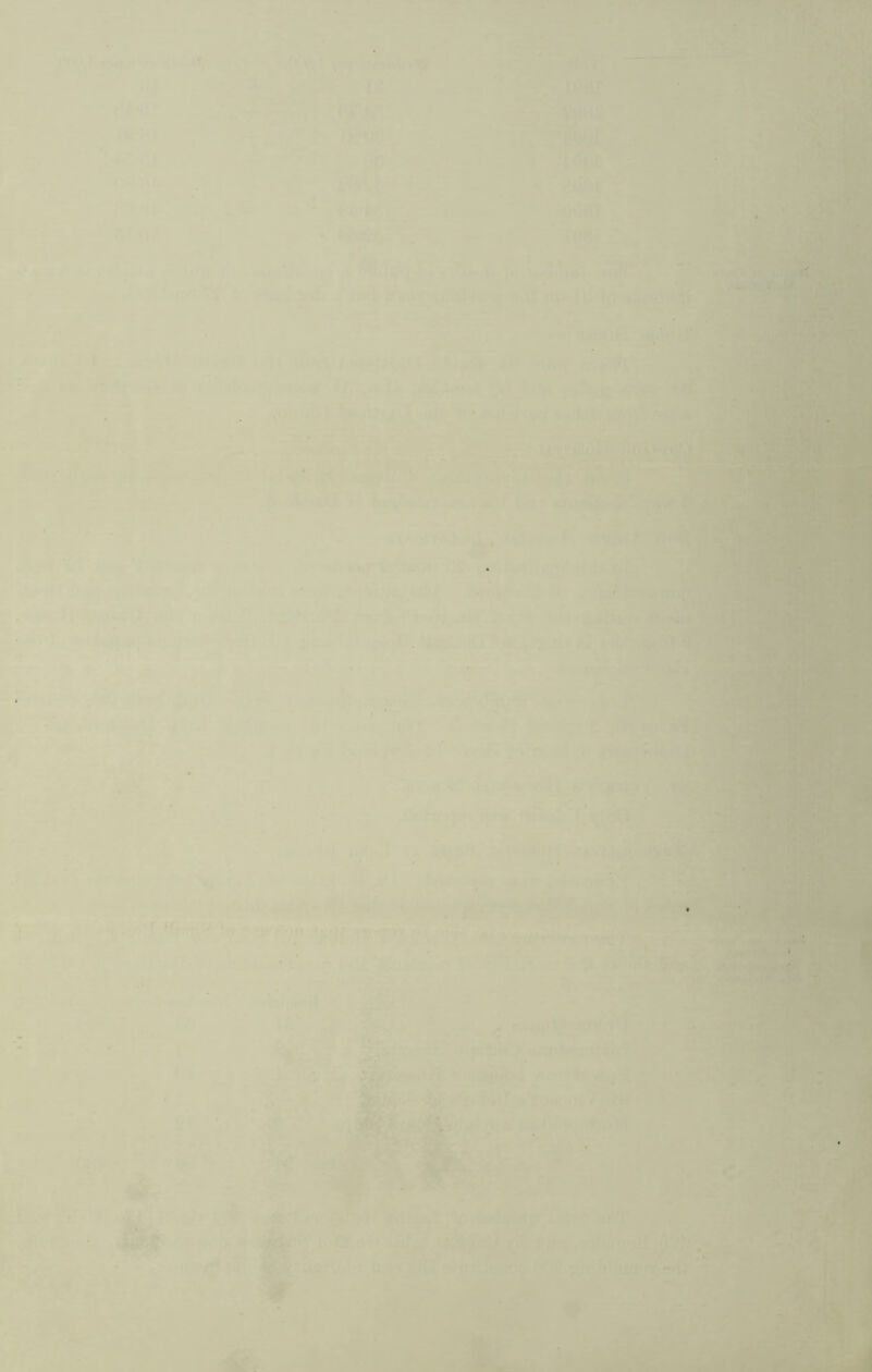 X ■ ■ 11*- A r. . ,, >,f- '•■■ r ' . ^^ ^ • r s «*. ■ » - -5 ■■■ ••' f f-- <’»7* C’ . it'M TO --' . r- ^ > ■ ' ' • 'li*- • '. I K s' ■*: A ’'Ml mt^ - *. Ad rj - ' ■ ■^•Jw’’-' ■-'■.l^' l ' ^' ..itl pfv’V^r^’t ♦; w ^ ' ■“ . . m L 'm^ , ' t«if lu^lu^tjS ^ ^ , .S .*»,- ’ - ‘ -it T ‘ <f»ap'' %*'^'-»*r * ■• i' * t'<jt'- ^1 ■::y., ^ ^TI* • j!' .«■ ';Kriw;T;. *. . zi .» I '^r* : ^ ’ 1 ■ ■*• - i». 1 ../,..t T;^-“'-- *• '■^' ''■' >,■-■,’^‘'..^■,1^1 '-. e: ifi .&-L > • ei’' ‘ ‘ A., ., ; i |>..'t- ^ 4* fi *. ..’ JSS 4 V. #'■ •^~1» J. _ ^ . B*. ^ ^ *■ '''I *-lV '.•' »’ vl