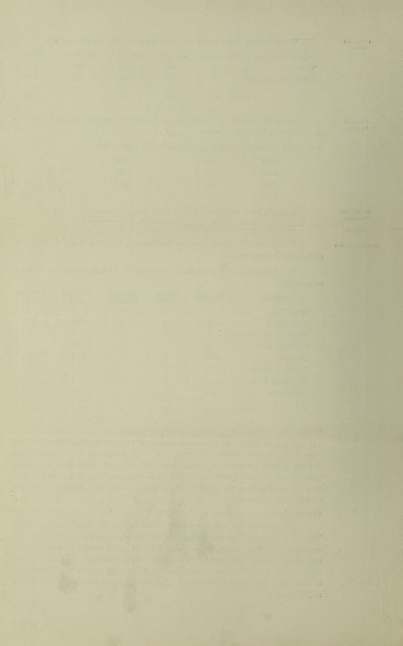 i V, i i Y7 . ■A ^ i-jdt^-fi ■w4#*“rv^* - ..-I /■•' r-»’ i -;.i t « *r fi t> V- i.'i' i .j. -k