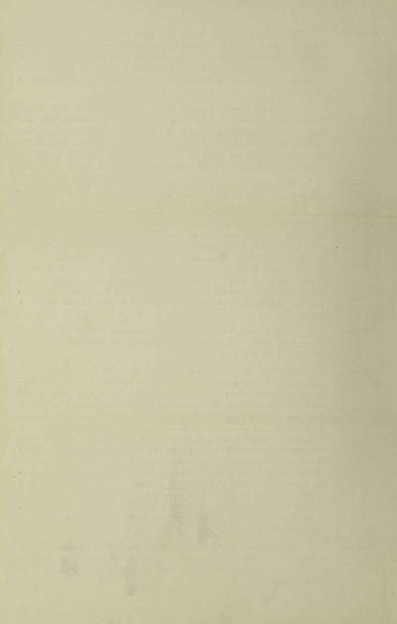 r. WT' 'TIT''j; ’ ^( ijHI» fr \fi •.{ 'TM'lftt' -i? y ;V ^ ' ''y-^’V ' * , ,1^ .i-ij,^/ Spi? '’pM .jjj,’ 'K'*‘>»rti'v vfi*-* 1, . ' ■-! 'V' ■ 1 .. .■'v, '■■ ^ V ''■■v''s W ■* *'»'7 I, • »s , ■ ■•>■•♦ t )< • ■' ( 1 'B ^•v'< ' ’m'iU J -•-'■v <'/'J •■■'vA - ' • ‘ ■*■»■■• ' '*5* '^s‘' ‘ .r^ .'»f' »'•■ ■ f * ?v^'’-■'^'‘^**-''f|j§^ '■ ■'• '' ’• ' ’'I'ii'® '^Sl ir. * '■* i'.i f I ...■ I'1 ' -i*!/.. 1 *fi'^ i 'ti(A*’-A2'.\*l'l^l 'f»_ '••'^Jl*i%,. *i:^ ‘ 'v>». t, *tiJ3 ^ t . MV iVi . • iB &li 1 -.. ^ . . . . . ^ 1 ^ ' .V - ...‘' ■ at , _ . ■ ■’, ■-t/ji/ ' f ^5#^ ' '*V'f»4 *»<fy '■ •• 1'^? ' ■■ II ■ ' / •■ V, tAli I >■ ■ .r* #»I ■> % 0t4 I ris III II -^- I itMii- V'i ‘W-r, * •. I 4 •■ -V': t A »i ' . •• ‘t .-v  •?!'.% > s’-'* ^ 1; - ii ’tf‘f• ;Wr ' I ii*:,'' ■ TV'ijr^- /• •■ ^ V -f . oji ; > • -, • ^ S- I ’^‘^’111 ” ' ' i^ V'K ‘ tT -*r.i'' - i?-fc.'’4il S->-: , . .,...^ ~ . .•;j^ * - -wi •r* .»%■■ TyMB^ i' f- •I f -»■ \j f* ■ .m i'?‘i M>Mei . I- 4^ > V>i (f n-^.s-SKS i,-. I ' Jr ;'r. Vi*'' . ' ! ■'.'-|^*. {_ ' i }j^(^^'- ’-' f- ■■'' t'- ^ •' «j ^ * i I ^ . t'- ; ■ -‘?'>KJj|;Vi.if‘ i«<;V i •■ * ■•'•• ■ c*•^_.''.H'.jl'i/#/' -ll w frf, . . .W . t> . lli,*. ft'L (.. •- rj;^ -'jytr ff -ffl'V,1PM' : t ^ <?',:■■ -Ajpiap p-' ■ ■'^'r’'*'-- Jlr- .. “>« ^ * .'y :V. -^1 ia - K . ia