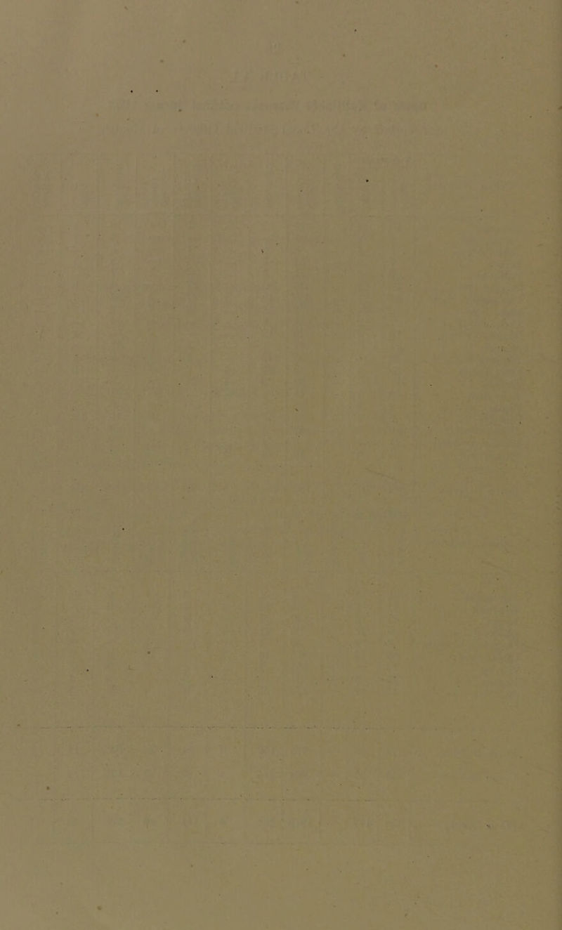 > t 1 I I 'j ' > ' ' n 1 ■; 7 I \ f 7 . ■> •\ . s / V V. ».. t { ' ' K.