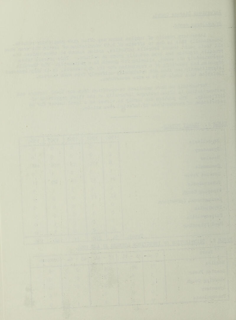 ■•jYy ■ '?■ „■ ■■ I v>-‘’ L;:t- t *1/ . - • T i L\ik 'rf' I I 1 , f I ! % I »“' > ‘ i t < t ■ t ( (