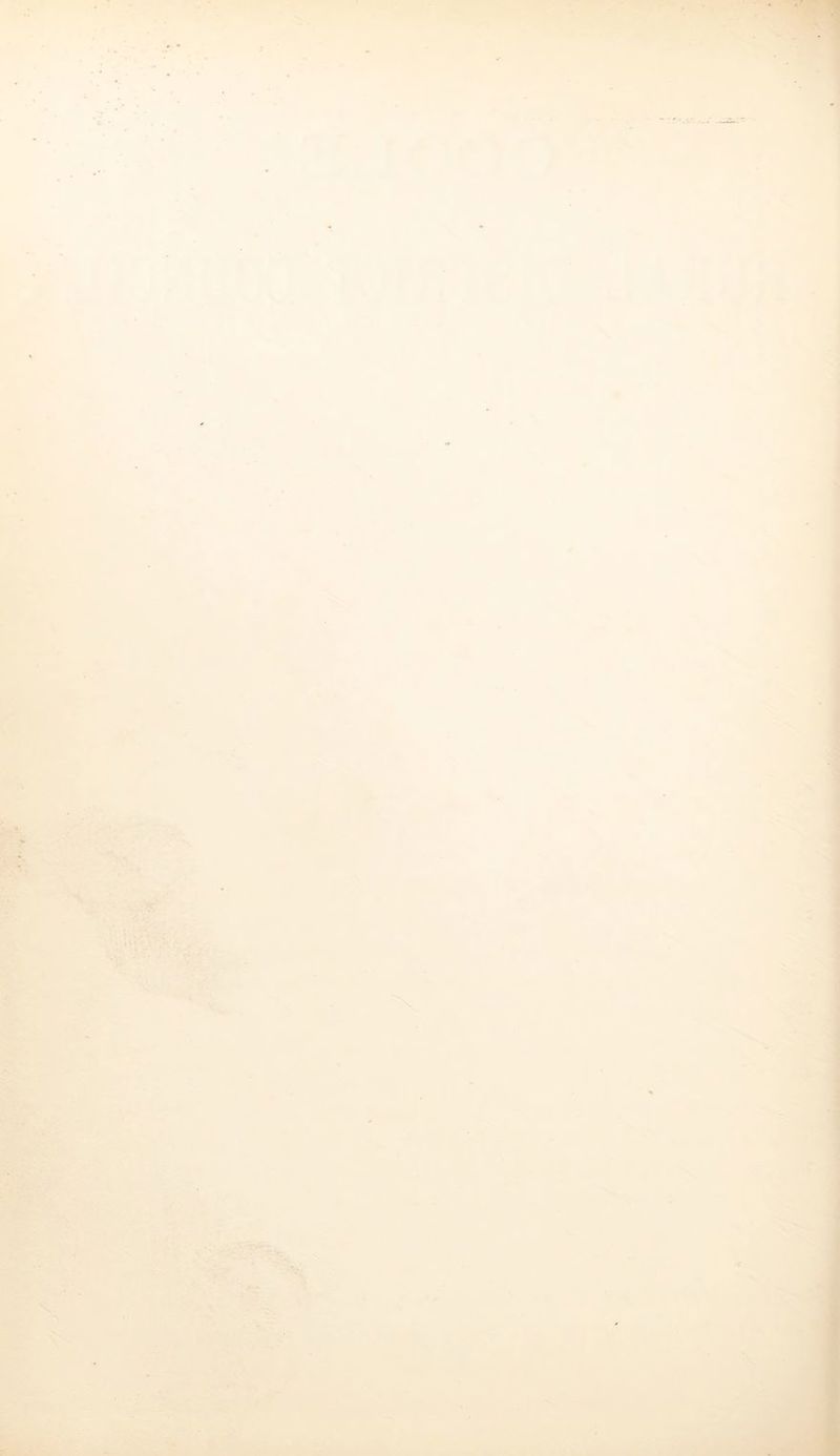 -1 ■ ^ A I -A « 'f • P 'x ■ X ■ >- - V ’ '. ; '* • . X ■4 s ‘ x Si