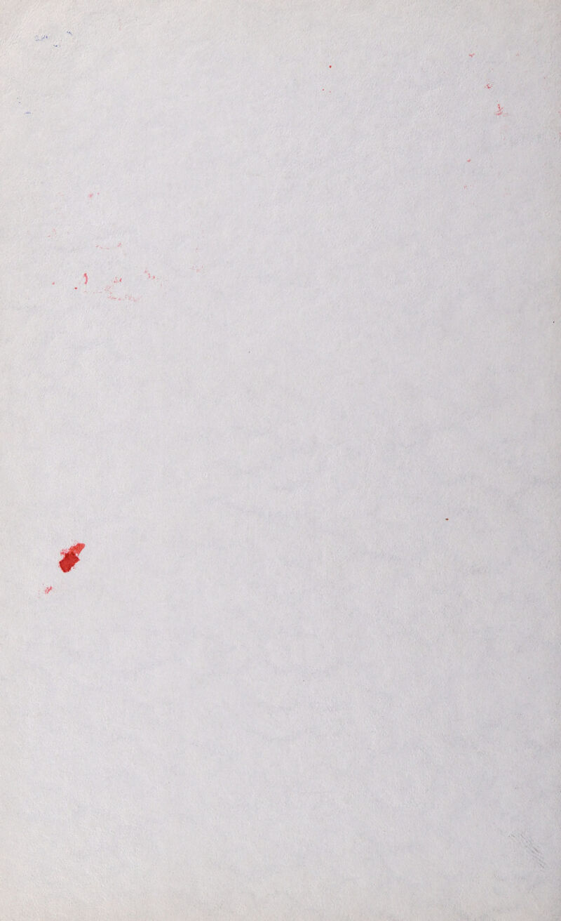 ' &iE 'iWm ■ - ' .•■ i.-.' -v,-v*,v*>-, ■•“v-•.■!. 'V « ‘ - >'''■ - 'l ■ *' im 'T>' P'