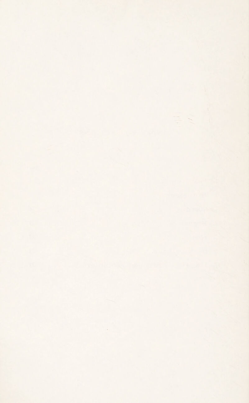 1 'V >> s » * V V ■ - - -1 : *« .y- t ' ■ *»< M