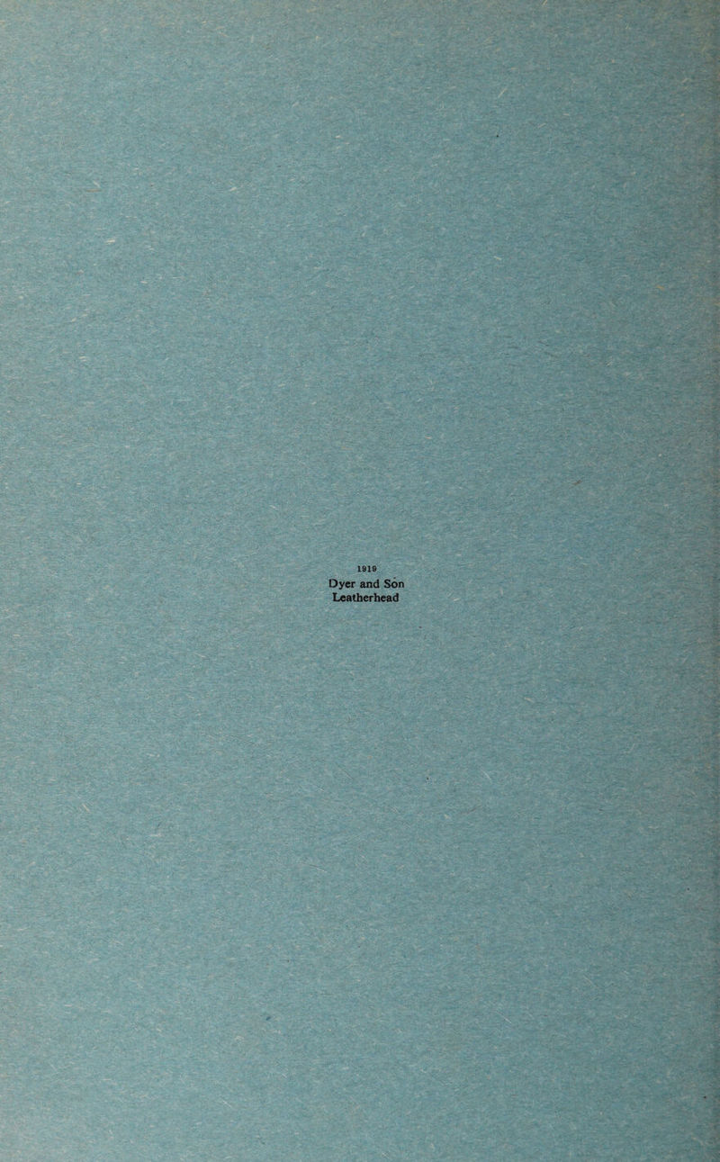1919 Dyer and Son Leatherhead St ■“a i'S;??i -' '’-nrM;.-: I’i'.’ i; * ■*' •■i T.^-* l^v- ' ;. . ^ V '/rlf-i.,' ;i„’• ■■'■.• ?,'^' A'-'’ • I’-X ^- ‘ r- ' ,