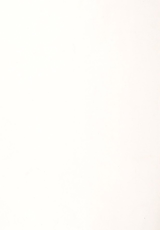 digitised image 2