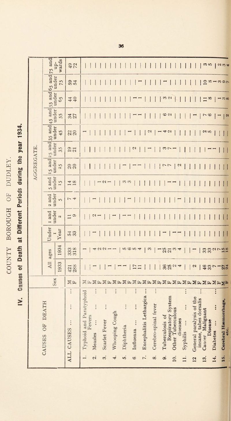 COUNTY BOROUGH OF DUDLEY.