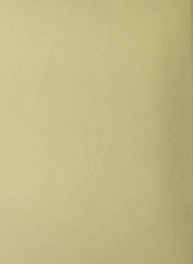 digitised image 2