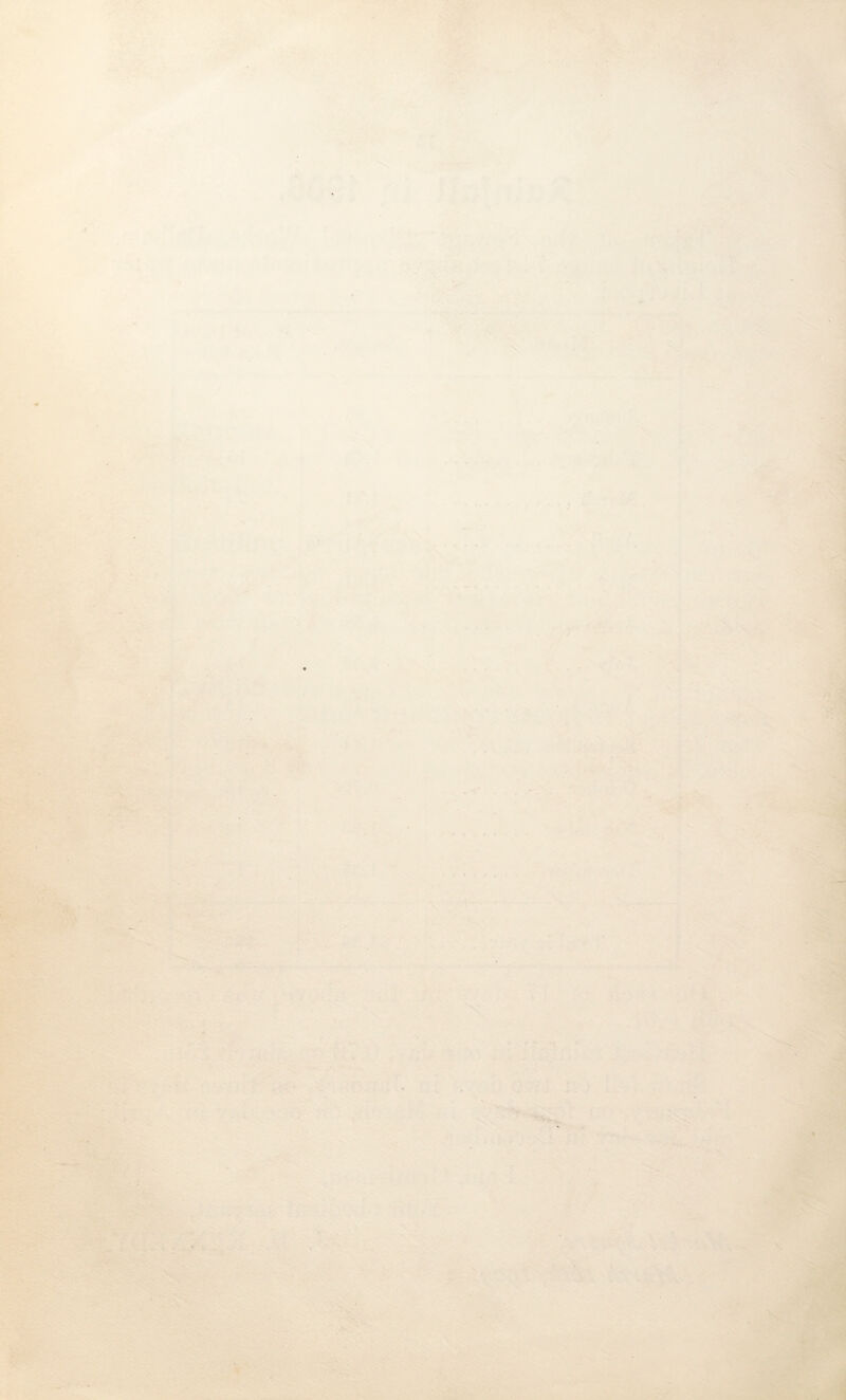 \ : vy *♦“ ■-\.- /I