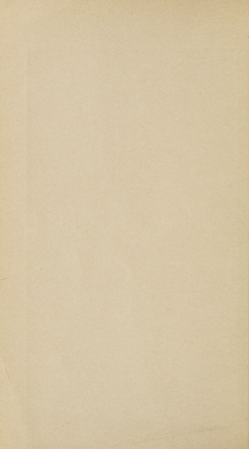 i •>.. < ■£. >,-*'• . • ■ 'li. ' > V*. , . ''^* ’ - .' -■ . -T^-'>. ■' ■V ;V;-, / .s-' • > *<, ■-iiy