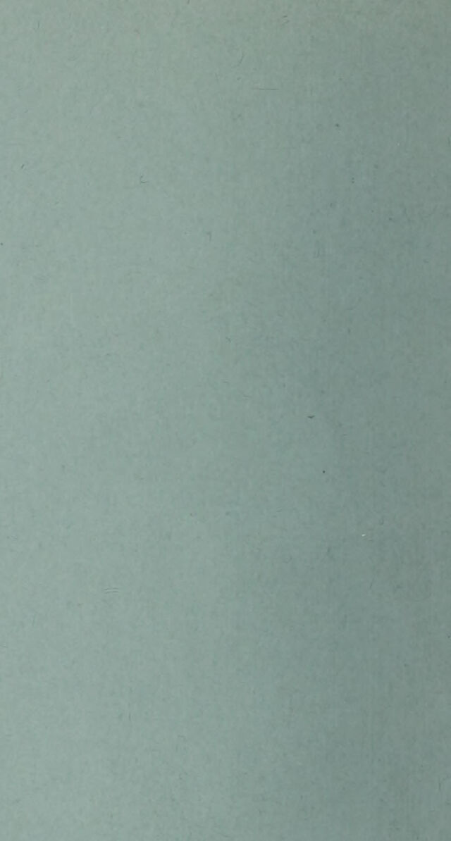 digitised image 2