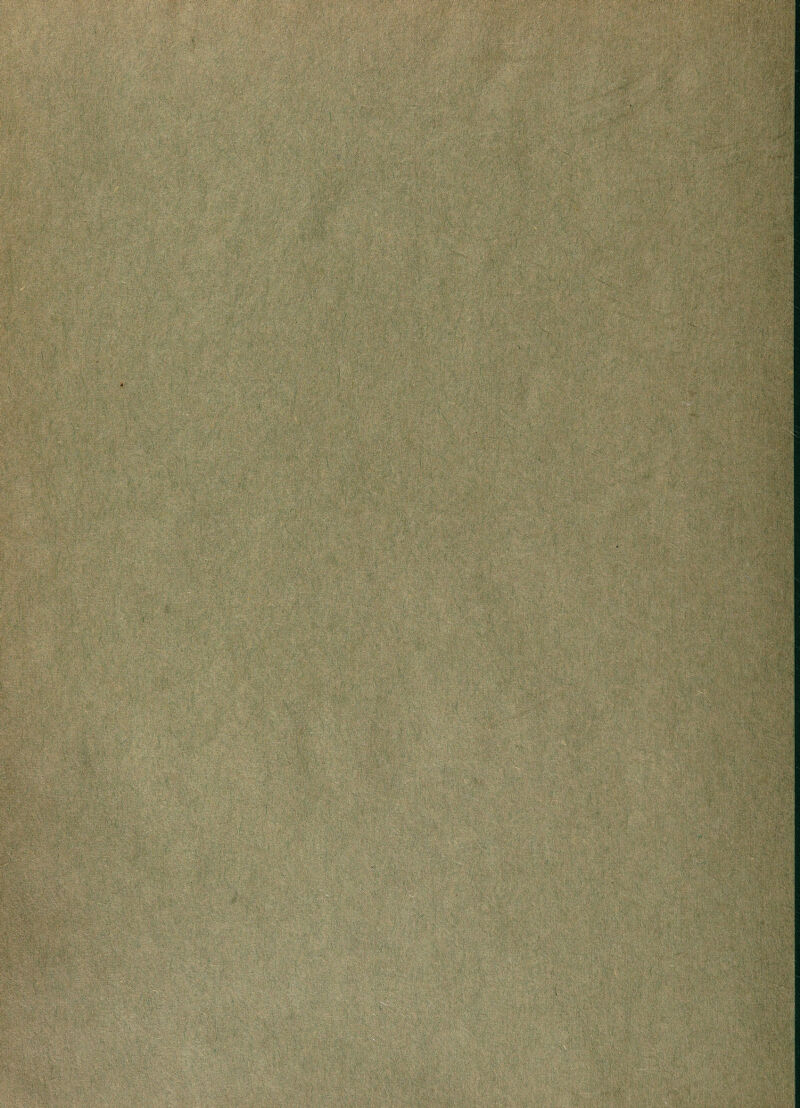 ';r' •' - {-v/v'W'fe: / -;/ /••:..■■•;■ V;, -i‘v> mbmmiMIMmmmMm^'asi 4-S ‘r%.r| k, A/^u4-^; k:rr4A/r:- ‘W.r --rH' ^4*^'': ■■■., i *r,r> V’ F ’•. I i h ^ ‘ ',’ * f 1 ‘ ^* ^ •'vh- ,/F ■- ^ > ^ j,i . ^ ' 4 '. . ^'44 ,':''1V'', ‘k.F'- V,) j',, '.:F * • 4 ,f/1 A SA '*x;■ ^ 4Jr^i;4 * ^ -iOT' -I* ‘''^J-Ju t K, I fA 4' ‘‘i- . '4 ‘ Af V ^ I J.-I ^1 j 4 “ ^.vl^ -4 _ >4'.' k, ft'^ife^vFiis^^iillipiii ,y4’V/ ‘ ^ ,.4^ : h i . i , 4 I 4 , ” /' ’^'' t F / I /' ^1' r ^‘'A'-I i ’»%F' ‘<‘*4 ^ v'^ ^ ^ f 5v> V-;y t Fw + 4. yv , A! ?? i Fi7#s® ;* '. - r ‘ l3 A Avi>^ 3r A«> ^ ^ f:a''ia''''‘'’4'' 4 .-wy/, ^}-\ ‘ ' ' M ) -y 4 yl” h ' f ! ',v-yFi.’Ff' f ii h ', -TIJ : , ‘s'|a>4S:4 A s** r^' -j/ ^ ■''^ ’’ + 1 *■ '«\ i 2*4 A:. A'tA 4 %;:Aa .yi >'^U‘ - >\ ti, y'y. ^'4, AK » V/ A 1 ' *1 Vif'^^ •■■ 4 'rfC, '■4, M ^ / I jk . *r'7|»;i ‘ \l ^ ' V«F4 k“^ t-Fi ',' H )! 1, 1 ’F4'4 -1^' A/ 4 * AS,,. > Fs A/Sy i 'fv'S'^ y F*' #‘ ' ' y'*i A4AA ' 4 4. ^ i’^ IV ~ A,} ' i ~, \ '• t' < , F  y,v ’ 1 1 ■‘Ai?^'’- y(VB fy' '^'F I'i fVy'y'lFF. , K' • 'I v-A? y ;,\ A'l All'?'. A. -' ' A ' JyVv >1 4, . '’yF.’F ' If ^ a, .V y 1 i' ~ ' '  A'.Vy 4J-- -, A ' <'■ ■* 4 , t y. ' V't-S* 4. 4;4iycSvJi;;t4»i!4ft*v,;W''-,y;;fty'a!■ »t4V;V-;i-4,y.y;,;;fl,;«r:.( . *' « y,- > I A J 'a 4 >sy ’ ?/, F , yy ^--' j.^,4 yv’'' :4VVi AF,’-' V k ^r,V,¥FF‘Vy J' 'lA A 14 A‘A'y, ' 1 t 4' i'y'l-t' 1 ‘4 W 4 F ' , V ' 'i a ' t 4 DMA ^ ‘A I, f M -1 - k ^ 1 i S f ‘ ' ‘\1 (A N4 “iFi I '' ' \ ''/'}>' tFi 'V V ,4 4, '“' ^ 4 A ^ AAV4^ >' b\ 4, A y F 4 . ' A ' 44 '< <’ ,1X , 4^ A -1 > \ J f F v', .. f/F’AV*” '> 'V'l f i J jiiyFyi' 1 (1 '.'>■< ■' l’ Ij >4 4 ' .!,''■ Ill 4>J J 4 X n '\ ''>y ^ ■,! 4 is 1 4^ V '' '>*' 1-41 'c'.'*'^'' ^1 ->* A ^ ' . ^ .A ' A;'''' ■ A'' ,l ' F't* J •V ,\ ,1V y 'y* A 4,1 , , A ,1 'y V A’c- J ' *,4 yFi '■ vIsS'' 4<4 ' 111’ 4’ > ' iikt.i, i S 1 * fWil#