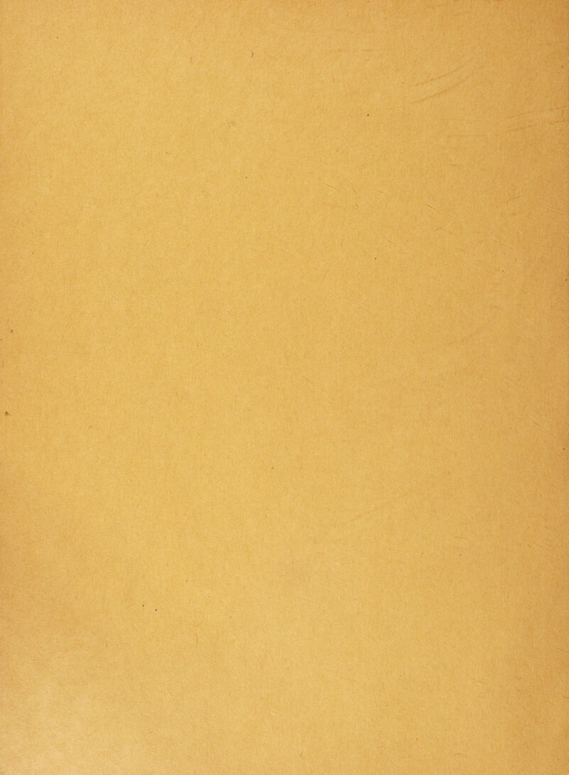 :) ■ ,1 • •*“ ... usf: