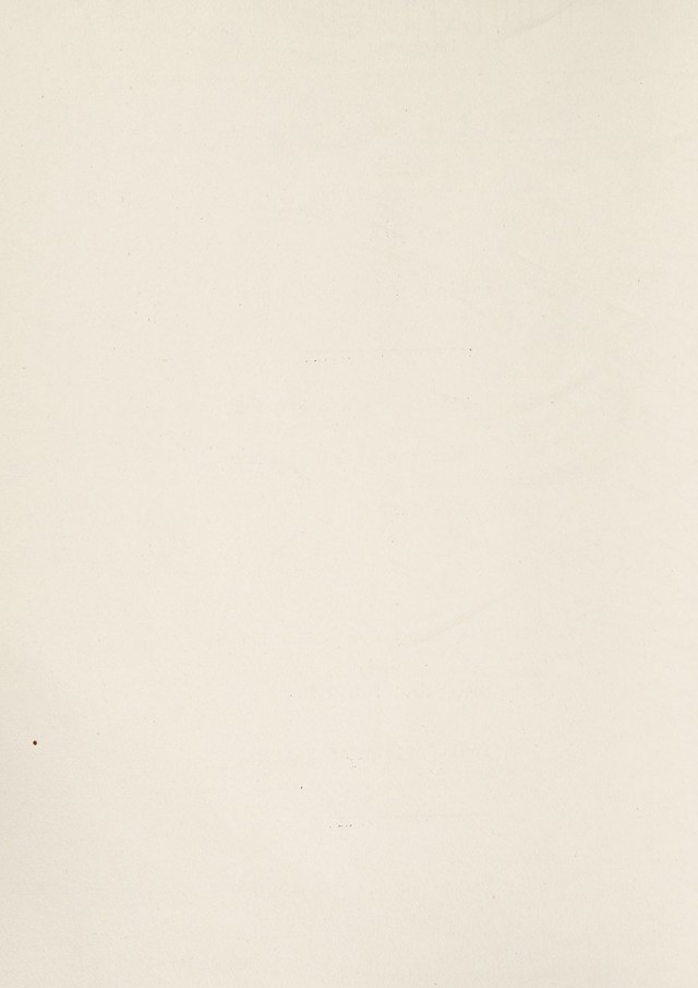 digitised image 2