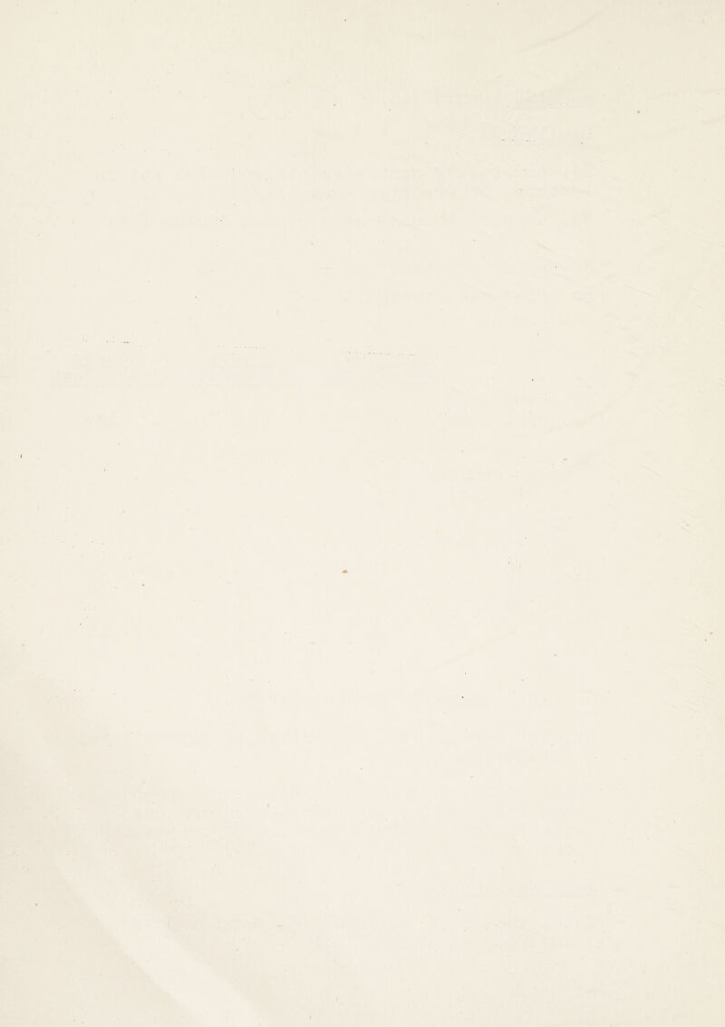 4 I-. i ■dc * i N s I s. ( I -7 s y \ i I • - 5 > .V • . I I * .%• Ifcll V \ s t { I f