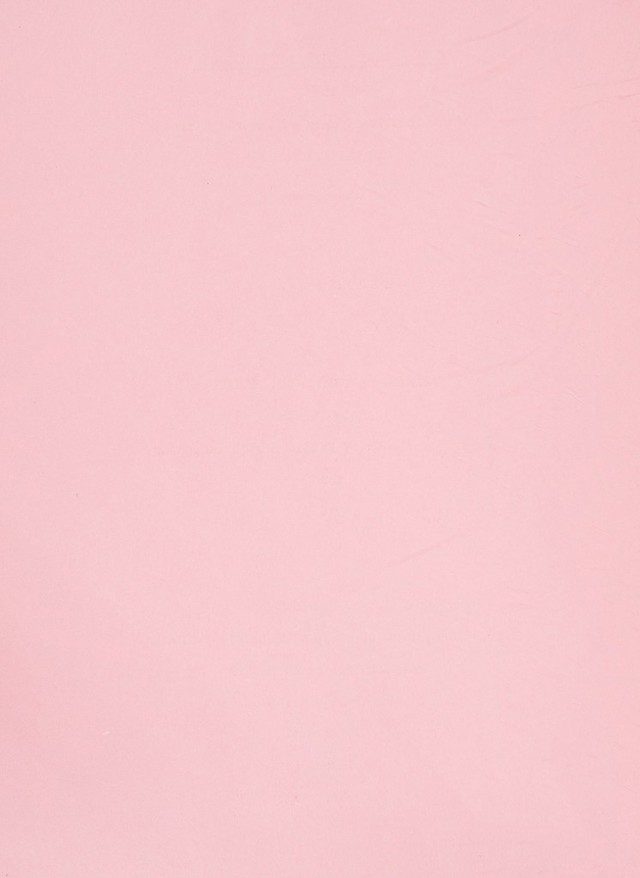 digitised image 2