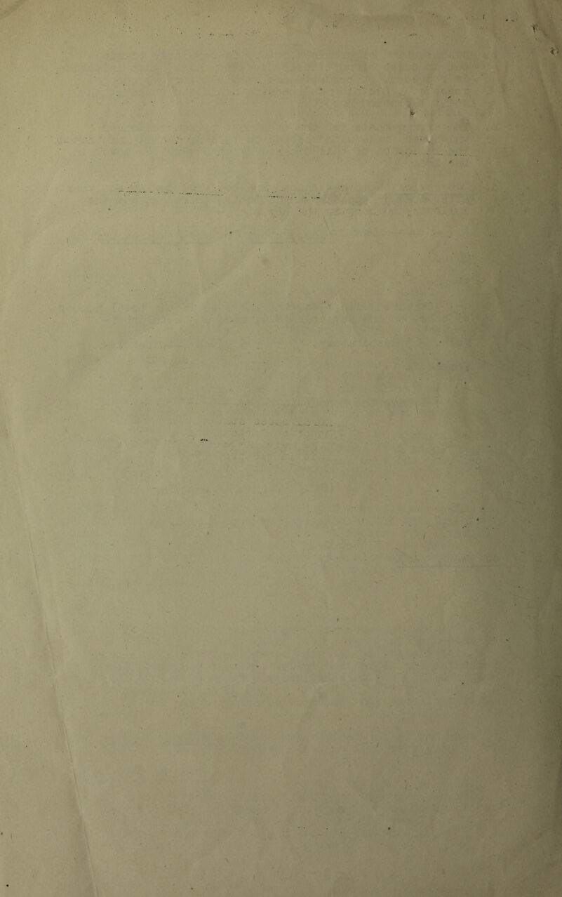 -T ' A ~ . \ I 'i \ t \ < M ■. V \ -d f/t'^ I I. • _ .>1 >_•' j I ■ \ t ■ryti ^ Vs' *? A k >■■1 ji