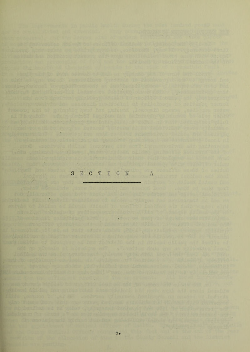 SECTION A / 3