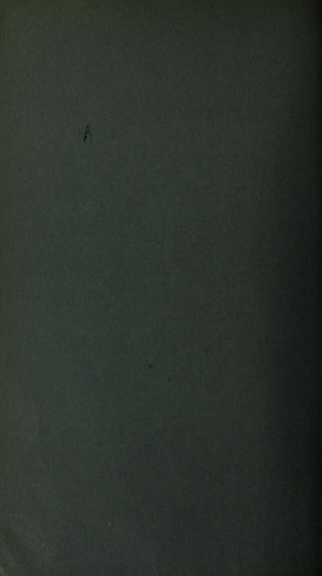 digitised image 2