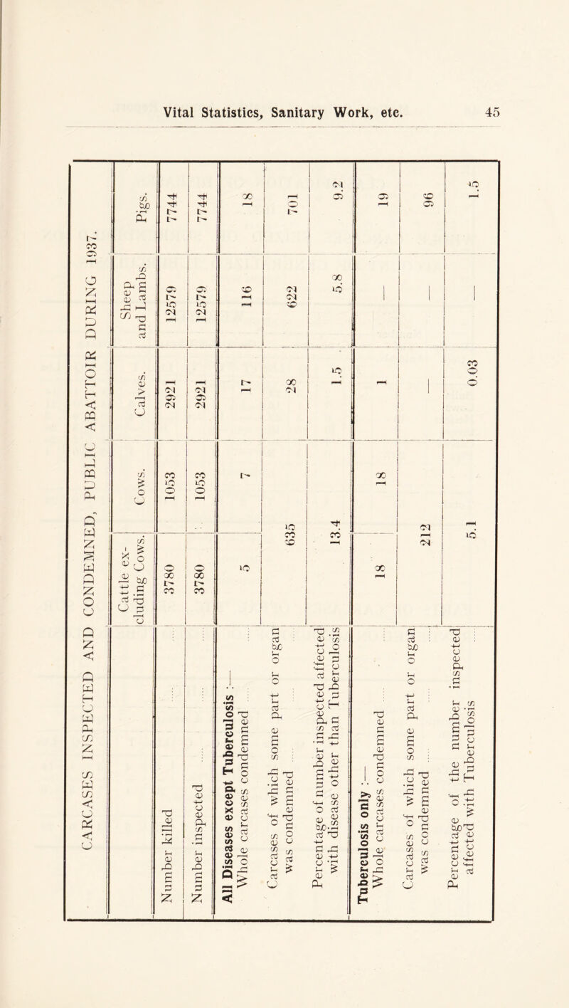 CARCASES INSPECTED AND CONDEMNED, PUBLIC ABATTOIR DURING 1937.