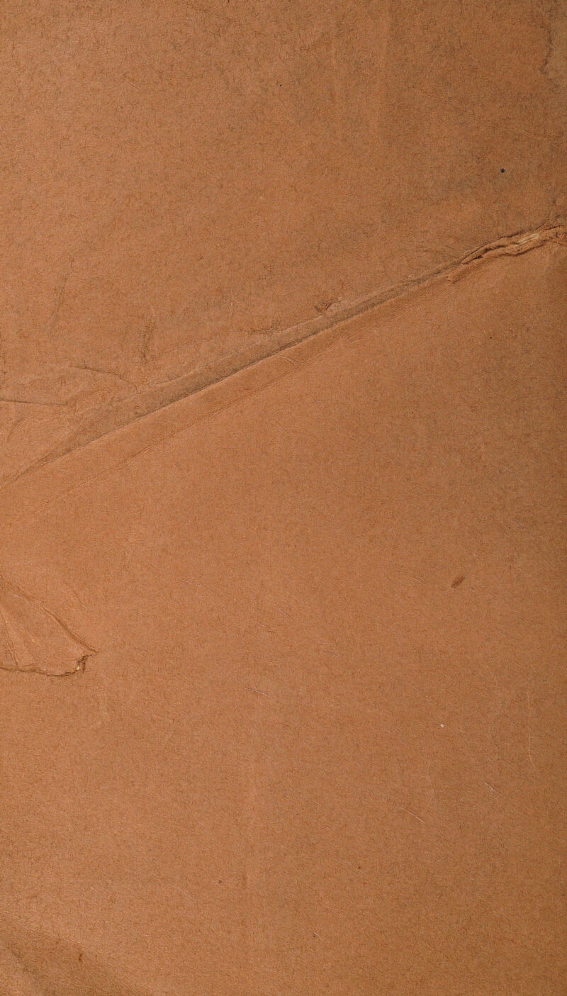 11 ■ ■ - ' - ■_; , -•• - - • v^.: . ;@Ss i M1 * - ■ r-. -Yj ' , . |. ■'!X. mwmMMm. ' V” Yfv ■ fyW.l: ■-.-<■ a, ' vt . - ■' : • \ '..; . t. - -' :. .- ■■'■' :r -r..; <■ «-■s. “ .■ j :v. :■ . - . - ^;:u raws ■ ., : ■ *1 ■'■' .; > ■! \ 4 '■ .V ■!■■■ : $#$£ '•VV •' /,•> t. 4r! ■■- • Mil? uMM SlMllSil *&•■■ ■ * - ^■-&&*'!:;r >& ■'••-, - fc o_ , ''iv iis■, X;.>'vJ ^VfP'iP'-V ■;•'V;* ■ ife.' ’■ S  ':' S ’ I •■ • u-V :J s , , '; ''-■'^P'fpSiV: PP&PfcPSSpP . . * .- \. V:. -rL's ■ ;V X\ : •:• -,:x; •* ,