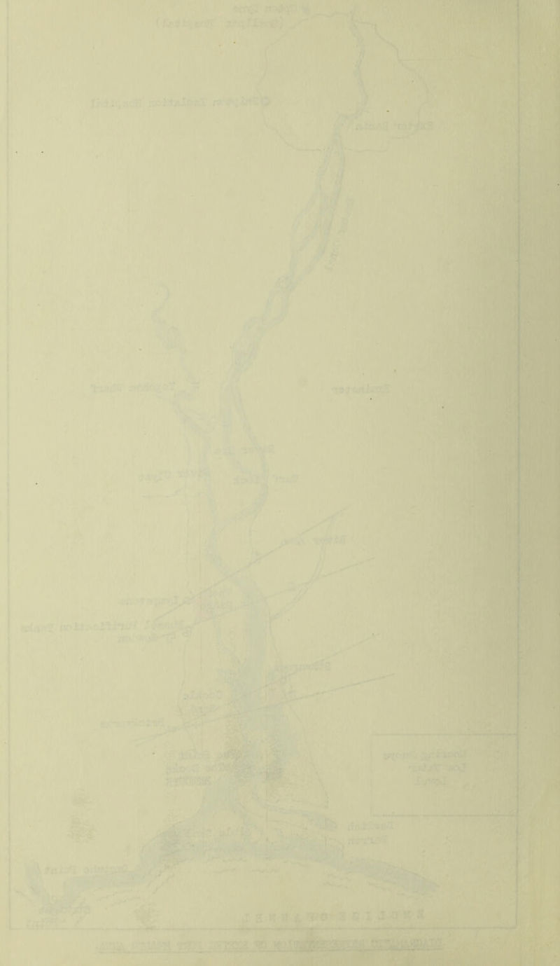 .- ''v £hd^Ci,nc^ -- ■ *ix?4r«* IWff . ; \;y: 'l^\ • '.' ■‘Il'W'swi •S9tUf(S&Ui.-, ■' ■:f^' .,(t ,■■- ; ' t^v -v^'. . • .'■ ■ V r'f:V'...t \ ■' ^ ^('■ :,'.■ w* ' 9£ ' ’ M . v-liJfm Mm; ■•j \ i.' W •.. I j*y *t*« ' '1'^ ..tafs—£_— ,'te^ 4fte' ■' ■'—'^JftrtMy^.-, i'- iwn-: .-arraa'.^