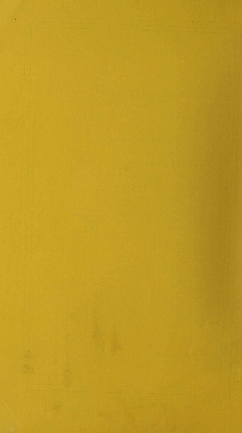 I ; . I I ' ,1 -1 t: ■' »■ '* 1