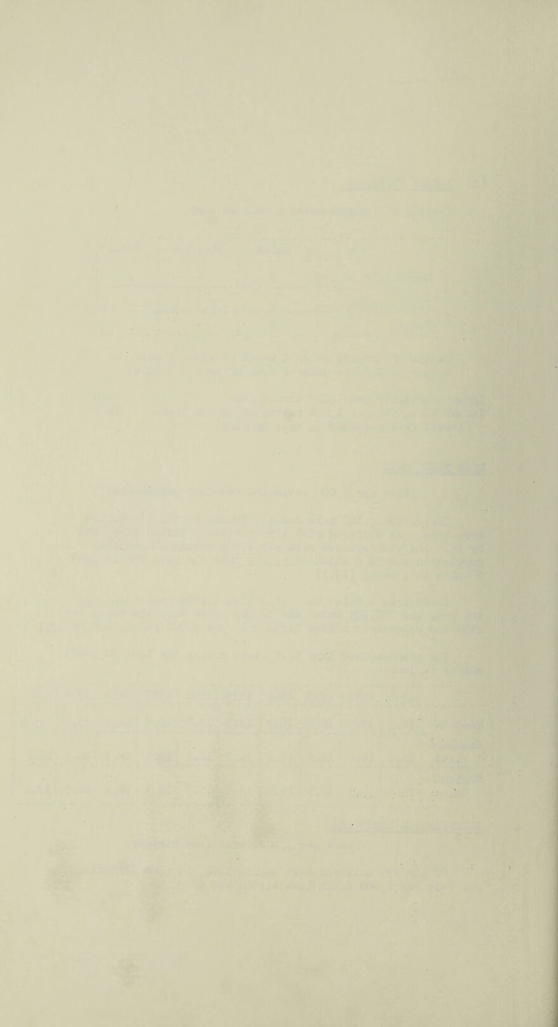 ) - * V I > “ 'J r -j -. C» •: i \ A