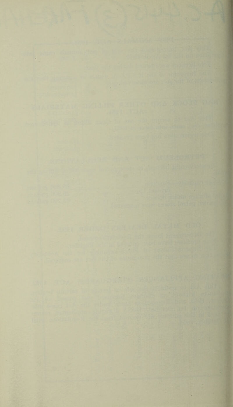 T - . “ V-.-. ' ,V’-